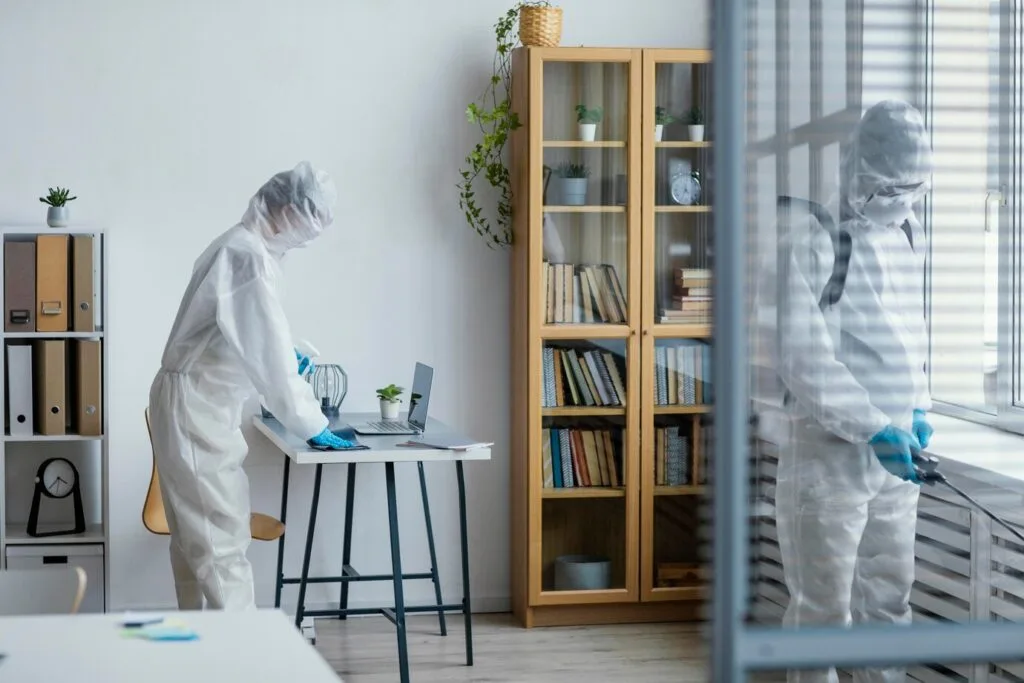 bloombox | cleaning company