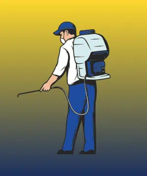 Pest Control Service